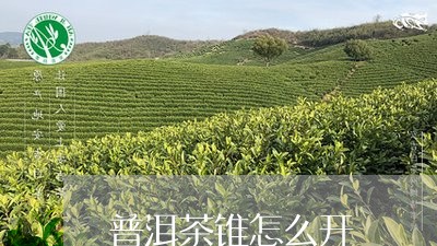 普洱茶锥怎么开/2023112648370