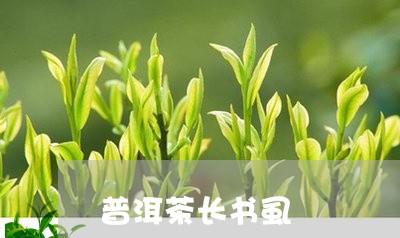 普洱茶长书虱/2023042563208