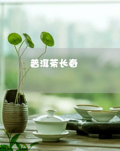 普洱茶长春/2023102591804