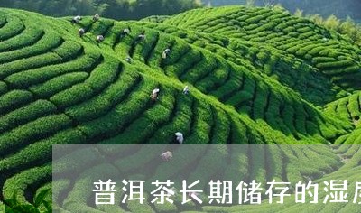 普洱茶长期储存的湿度/2023120602928