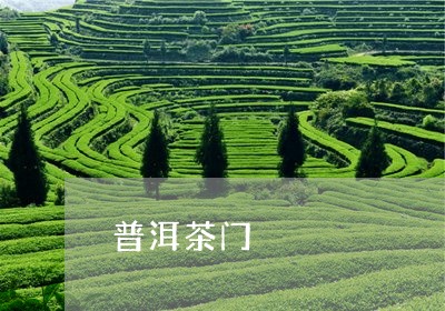 普洱茶门/2023102557482