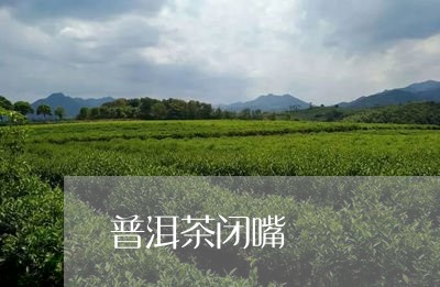 普洱茶闭嘴/2023090543739