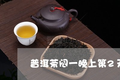 普洱茶闷一晚上第2天喝可以吗/2023082693805