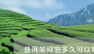 普洱茶闷泡多久可以喝/2023081696259