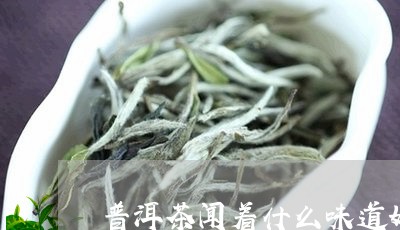 普洱茶闻着什么味道好闻/2023120718385