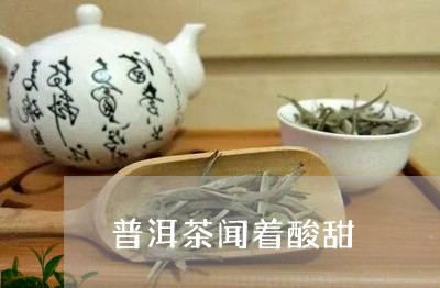 普洱茶闻着酸甜/2023110781481