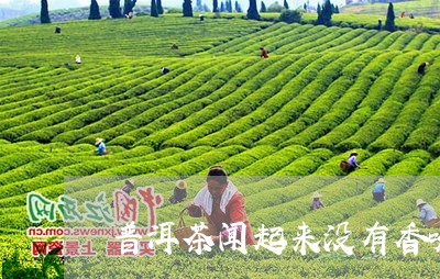 普洱茶闻起来没有香味/2023062397460