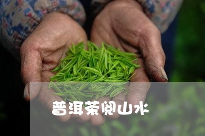 普洱茶阅山水/2023042760388