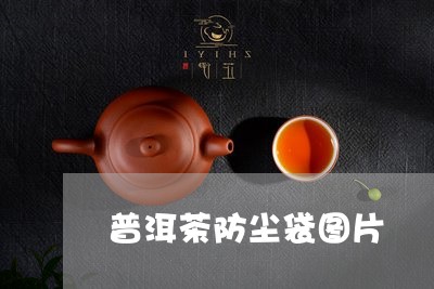 普洱茶防尘袋图片/2023120448623