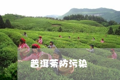 普洱茶防污染/2023042869311