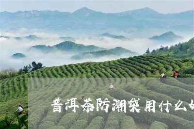 普洱茶防潮袋用什么好/2023062454159