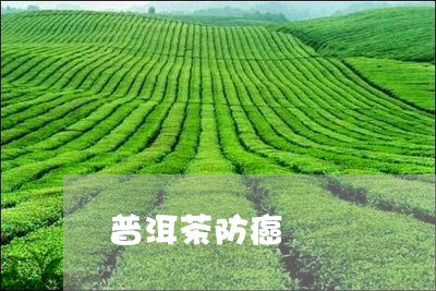 普洱茶防癌/2023090622927