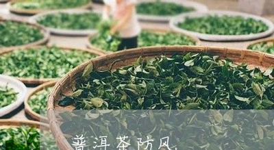 普洱茶防风/2023102586020