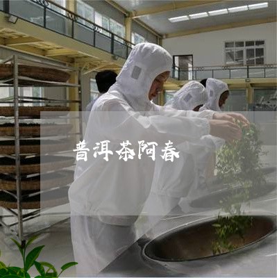 普洱茶阿春/2023102526269