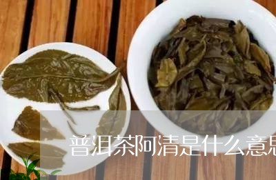 普洱茶阿清是什么意思/2023092857160