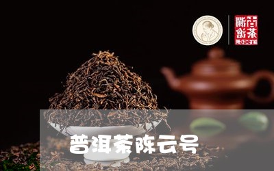 普洱茶陈云号/2023042987841