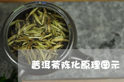 普洱茶陈化原理图示/2023091563735