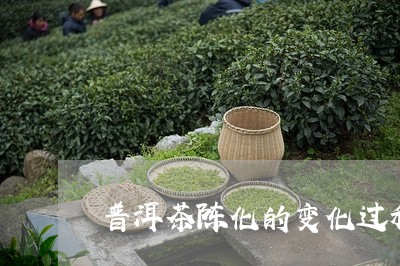 普洱茶陈化的变化过程/2023100646137