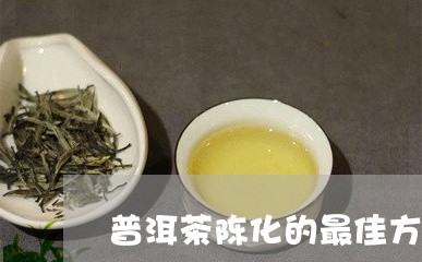 普洱茶陈化的最佳方式/2023100554826