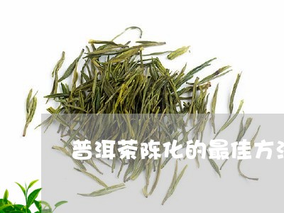 普洱茶陈化的最佳方法/2023080115938