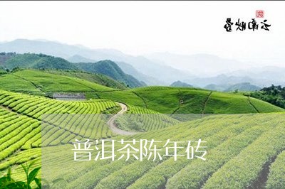 普洱茶陈年砖/2023042918719