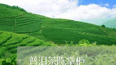 普洱茶陈掌柜/2023042732482