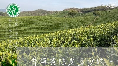 普洱茶陈皮多少钱一个/2023092605149