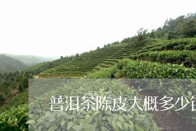 普洱茶陈皮大概多少钱/2023093005827