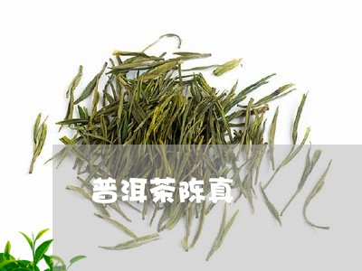 普洱茶陈真/2023102559472