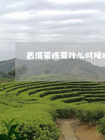 普洱茶陈茶什么时候喝/2023073069492