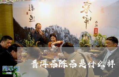 普洱茶陈茶是什么样/2023120580826