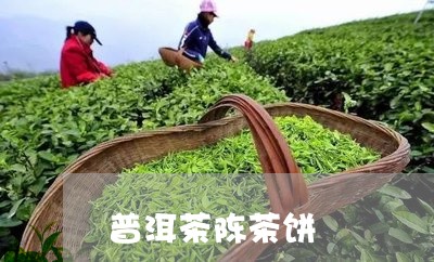 普洱茶陈茶饼/2023042740545