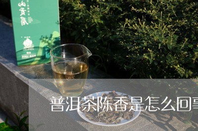 普洱茶陈香是怎么回事/2023062190615