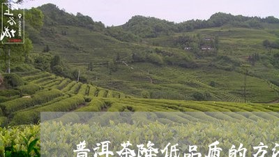 普洱茶降低品质的方法是什么/2023052851837