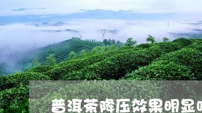 普洱茶降压效果明显吗/2023080248172