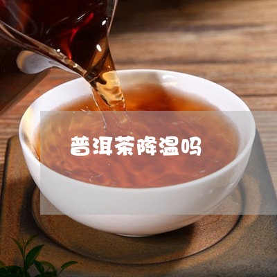 普洱茶降温吗/2023042773655