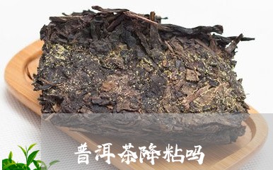 普洱茶降粘吗/2023042548598