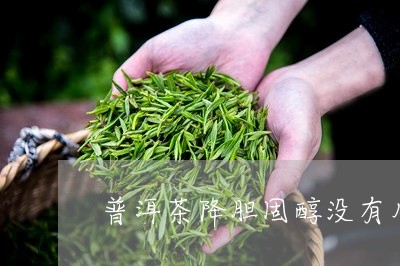 普洱茶降胆固醇没有用吗/2023050586168