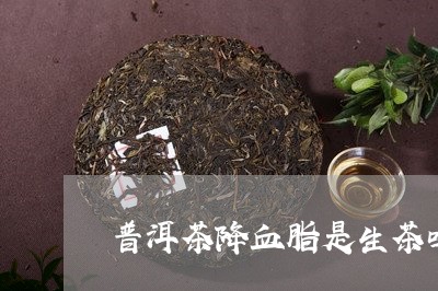 普洱茶降血脂是生茶吗/2023100523805