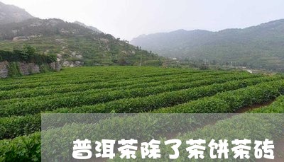 普洱茶除了茶饼茶砖/2023101693148