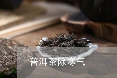 普洱茶除寒气/2023091386259