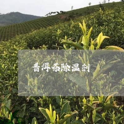 普洱茶除湿剂/2023091310825