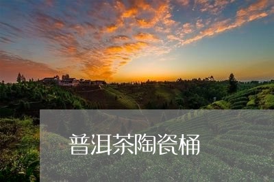 普洱茶陶瓷桶/2023042605584