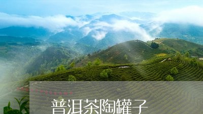 普洱茶陶罐子/2023042794842