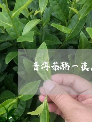 普洱茶隔一夜怎像浑水/2023061461815