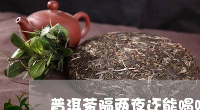 普洱茶隔两夜还能喝吗/2023061525039