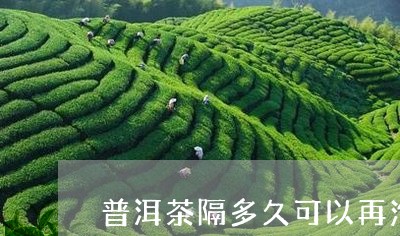 普洱茶隔多久可以再泡水/2023112717360