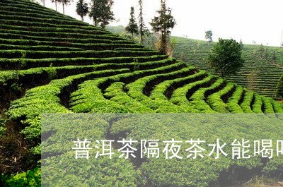 普洱茶隔夜茶水能喝吗/2023072192716