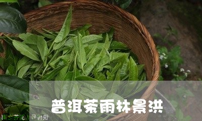 普洱茶雨林景洪/2023110945137