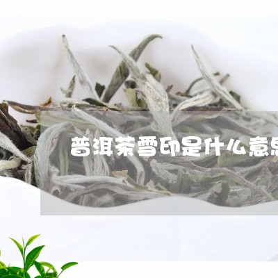 普洱茶雪印是什么意思/2023092981915